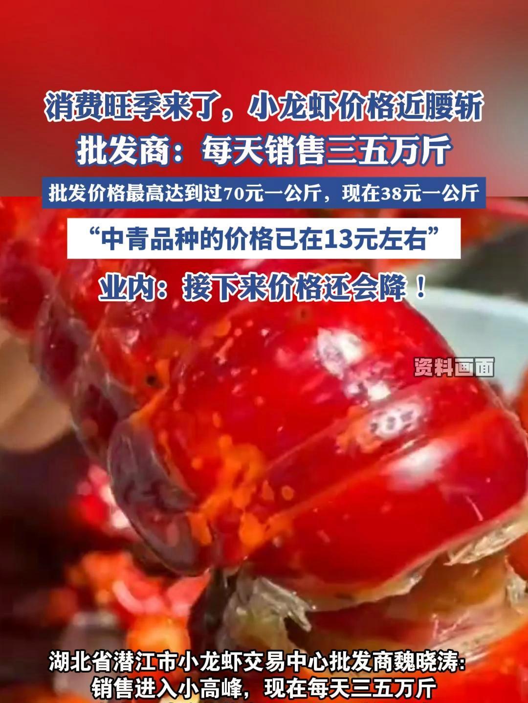 消费旺季来了,小龙虾价格近腰斩,业内:接下来价格还会降!(央视财经)