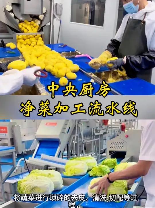 中央厨房净菜加工流水线,我敢说未来的餐饮,后厨不会再有人洗切配菜了,取而代之的是中央厨房净