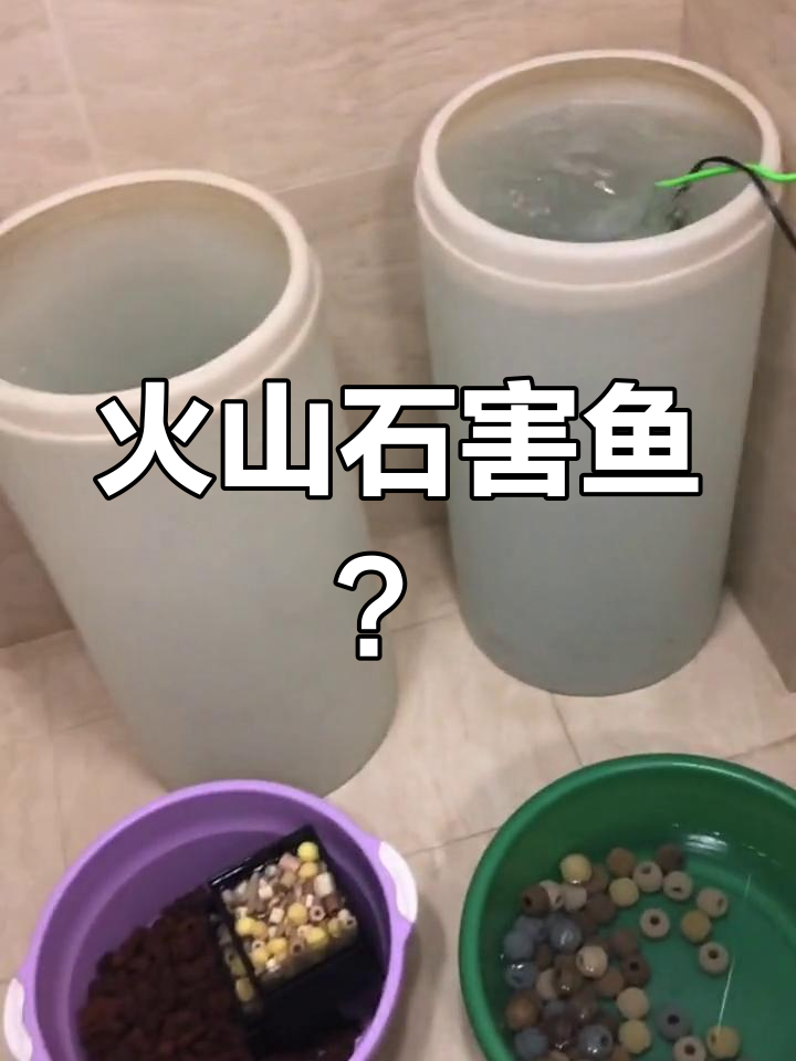 火山石可能有害?鱼肠炎一个月未愈,换掉后恢复活力
