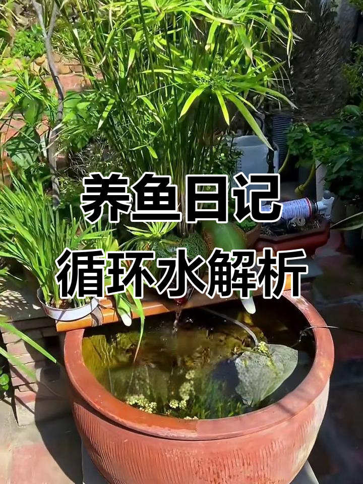 鱼缸循环水系统揭秘:如何实现无电瀑布效果
