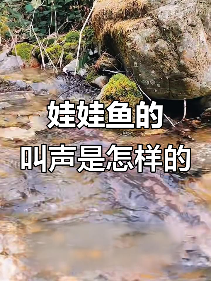 娃娃鱼真的会像婴儿一样叫吗?揭秘真相