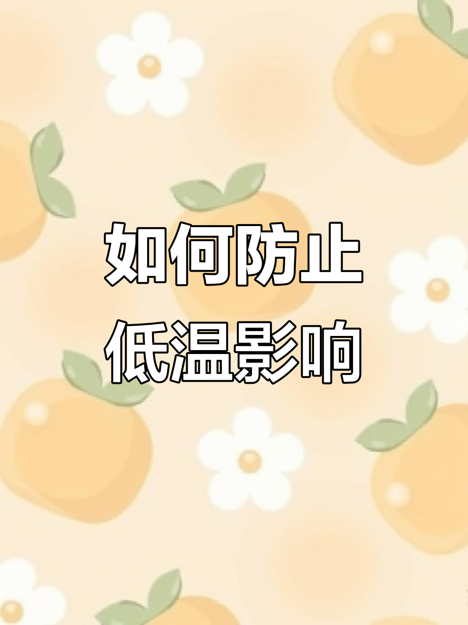 低温障碍如何应对?西红柿发紫原因及防治技巧