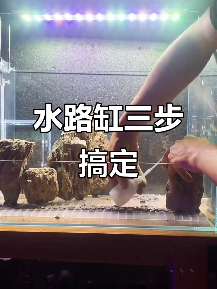 三分钟打造水陆缸,轻松学会玄山风格造景