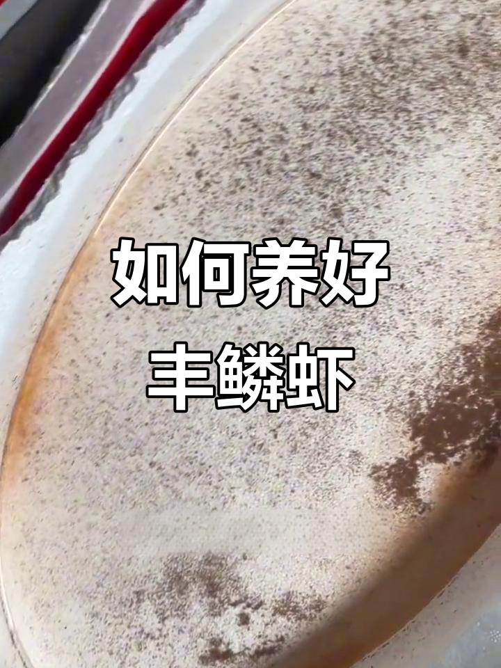 丰年虾如何保存与喂养技巧，四五天后依然活蹦乱跳