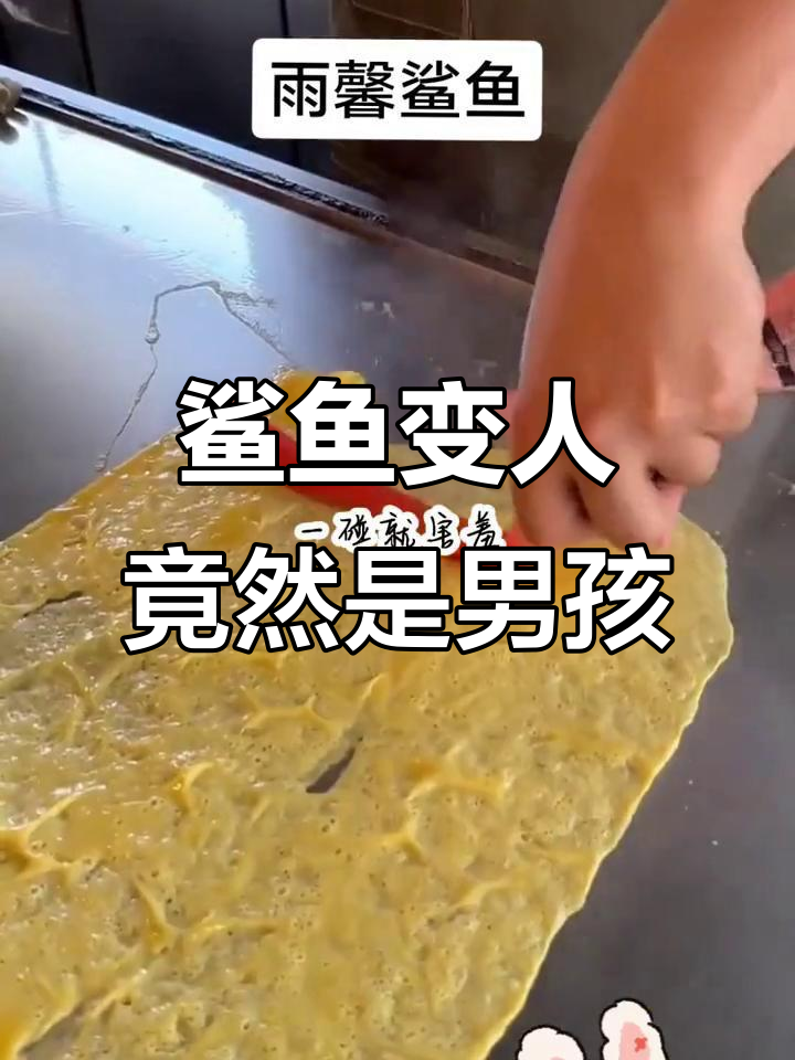 我的鲨鱼室友,竟然是个公的!它害羞的样子太可爱了