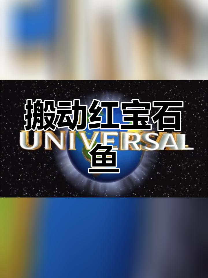 红宝石鱼产卵过程