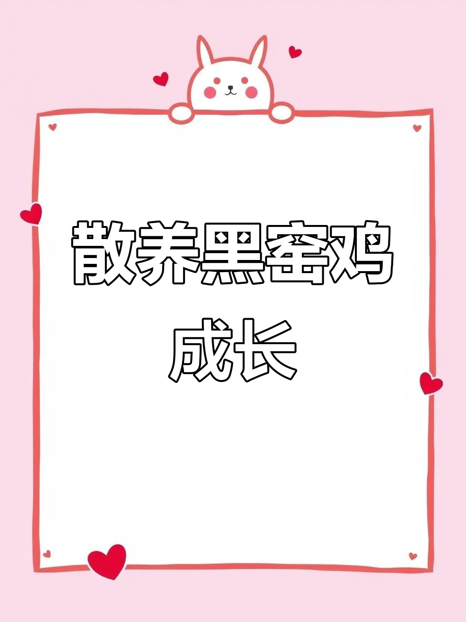 黑瑶鸡成长记：从雏鸟到成年的蜕变