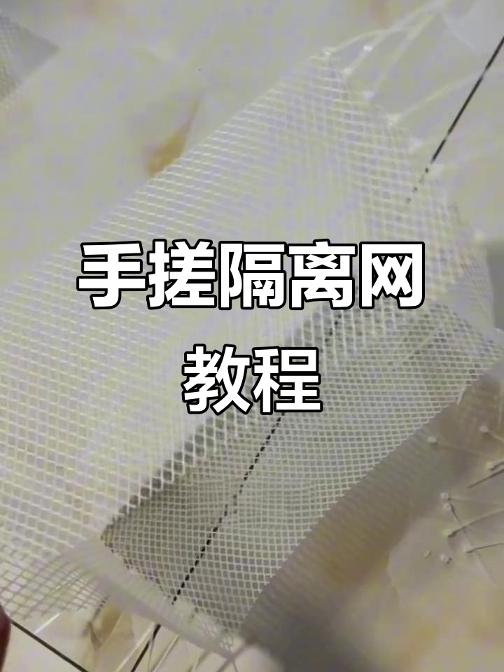 自制隔离网轻松搞定,孔雀鱼繁殖不再难