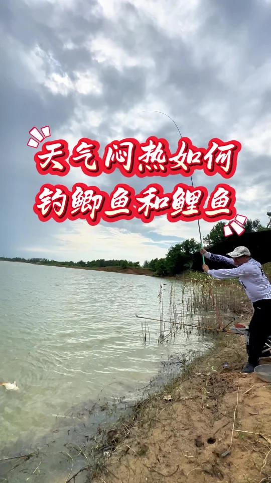 天气闷热如何钓鲫鱼和鲤鱼