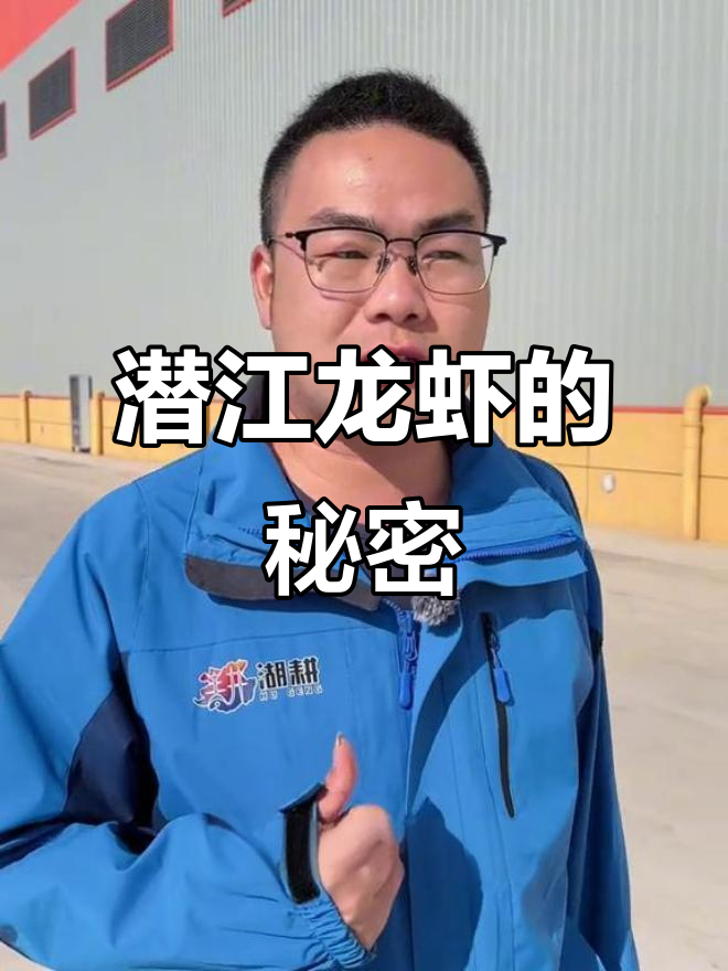 湖北潜江小龙虾:从稻田到餐桌,九零后厂长带你体验龙虾天花板