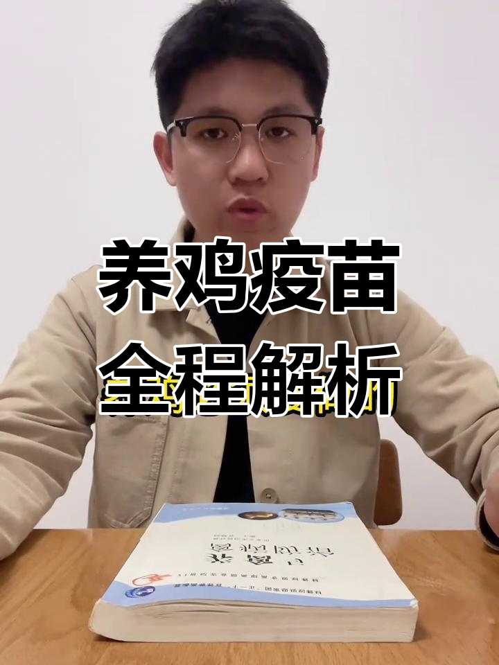 养鸡必做疫苗全流程,健康保障一步到位