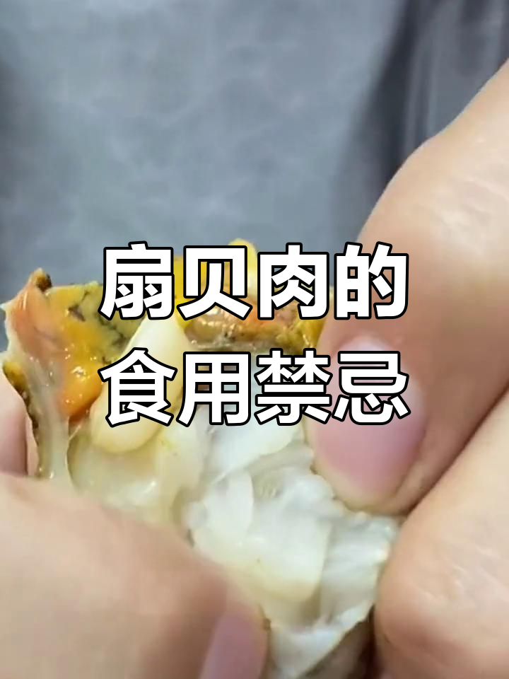 扇贝肉哪些部位能吃?