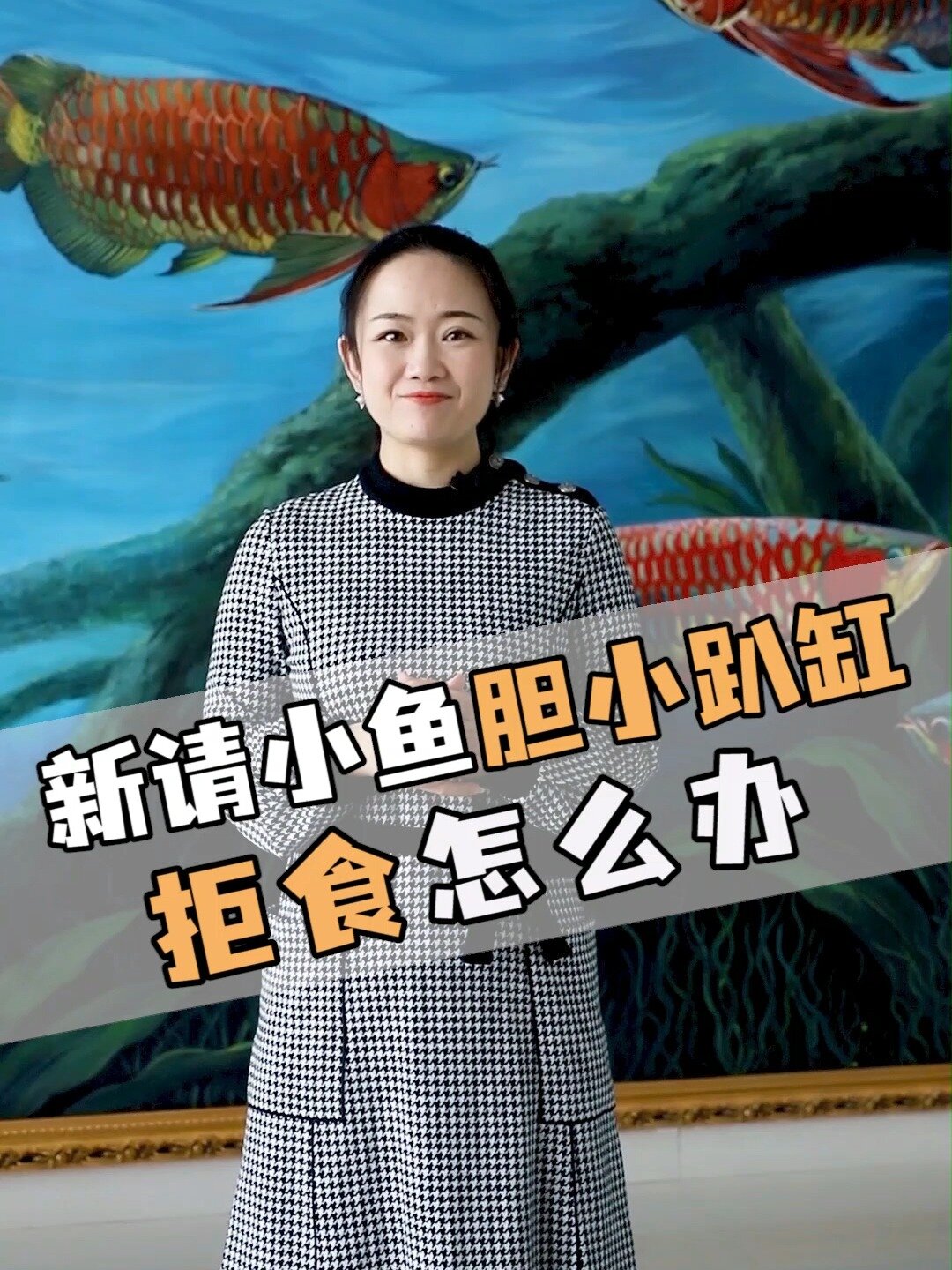 新请的小鱼胆小趴缸不吃东西怎么办?