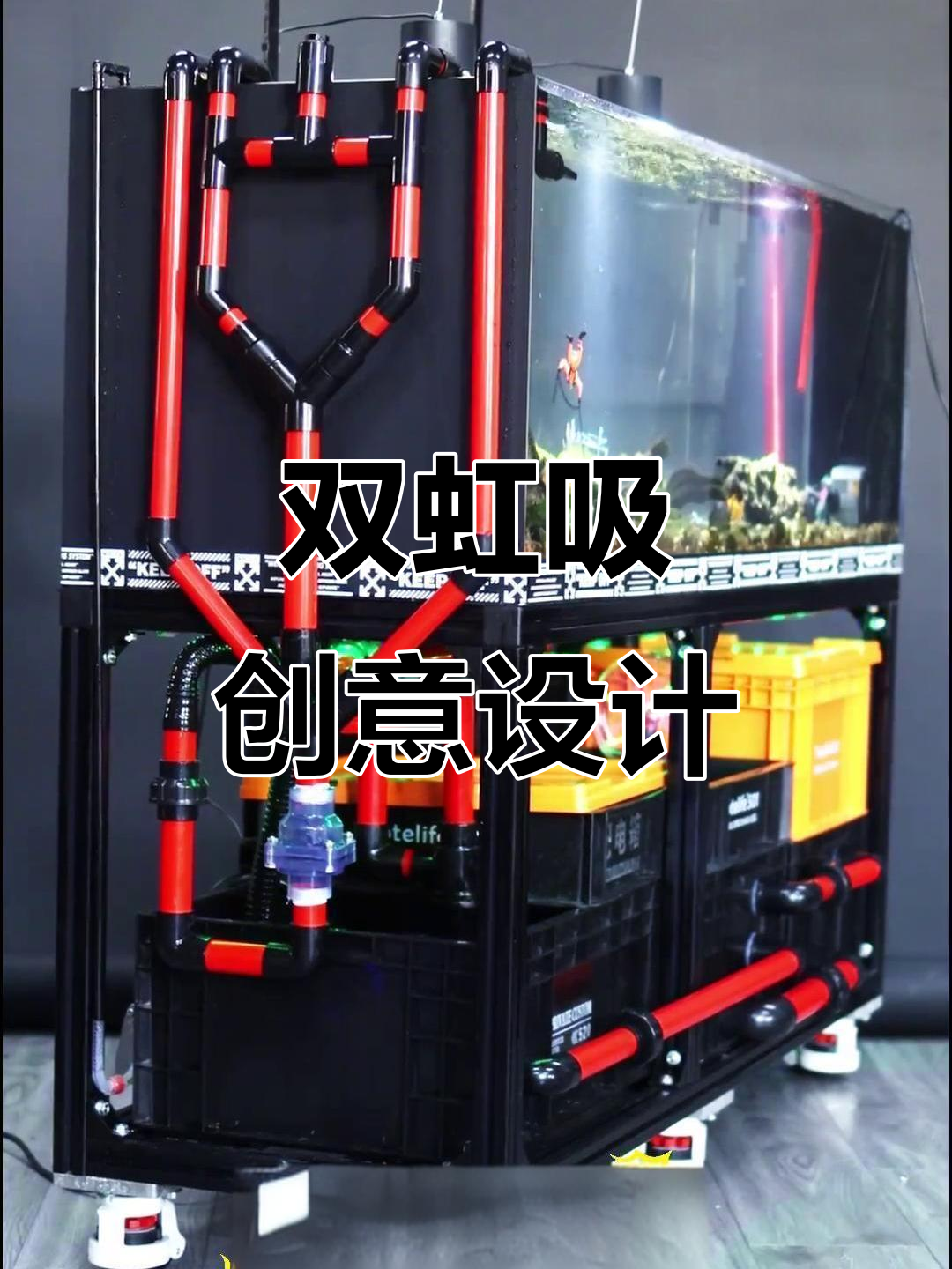 鱼缸虹吸设计,简洁又酷,过滤效果超赞!