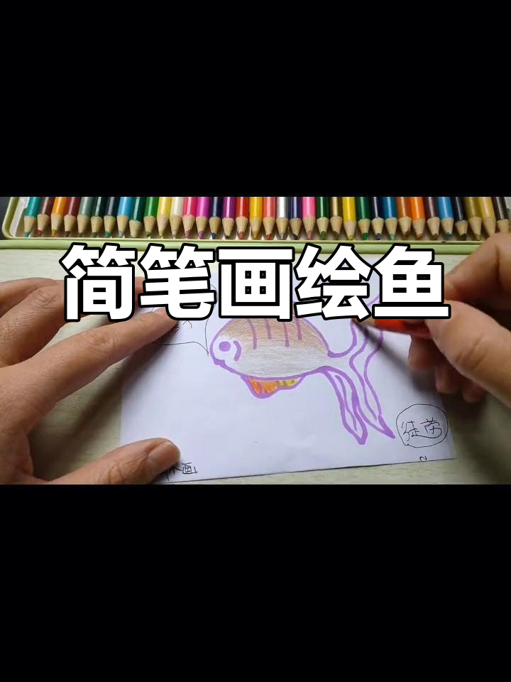 用彩铅绘制精美鱼尾
