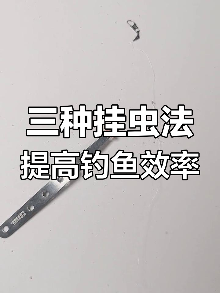 冰钓公鱼技巧:三种挂饵方法提升诱鱼效果