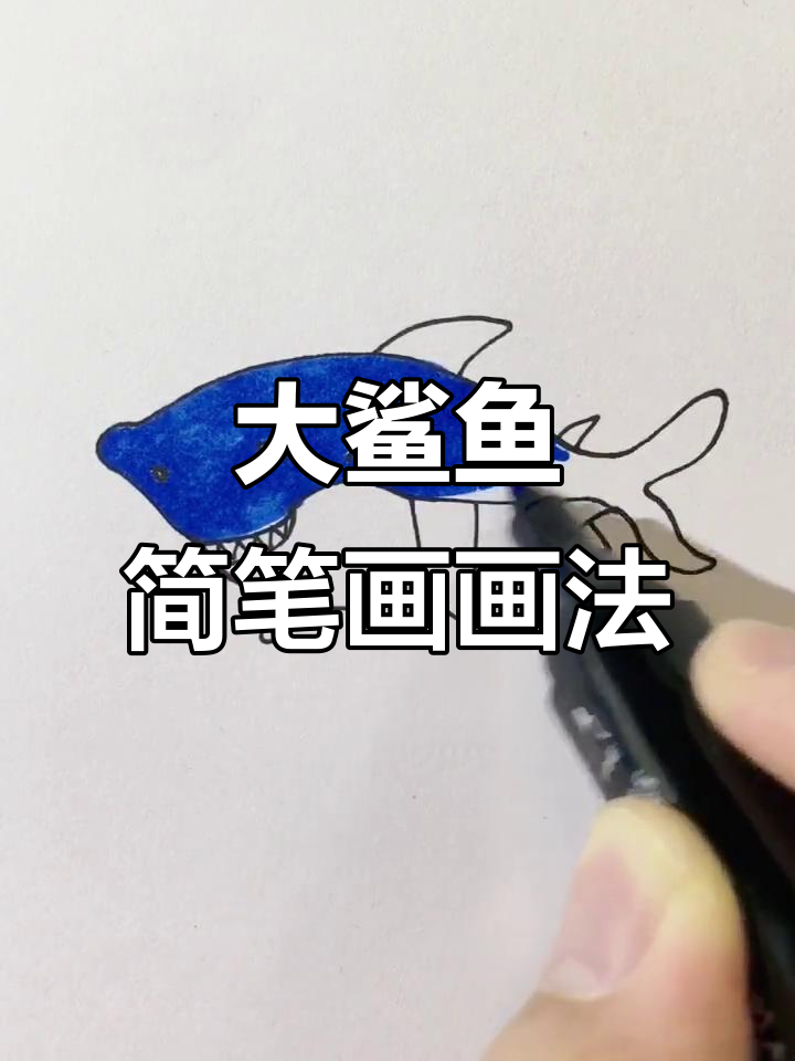 儿童简笔画大鲨鱼,轻松学会画身体和牙齿