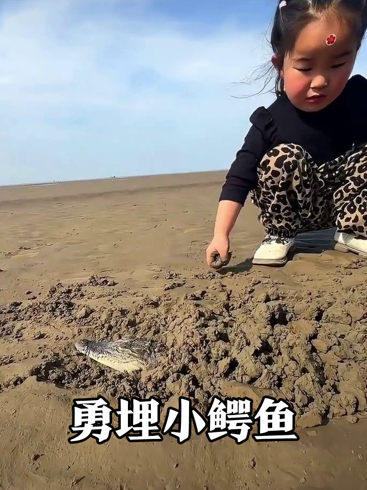 小女孩沙滩追埋迷你鳄鱼,网友:这胆儿比沙坑还大!