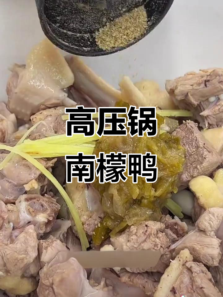 潮汕南檬鸭肉,高压锅做菜更入味