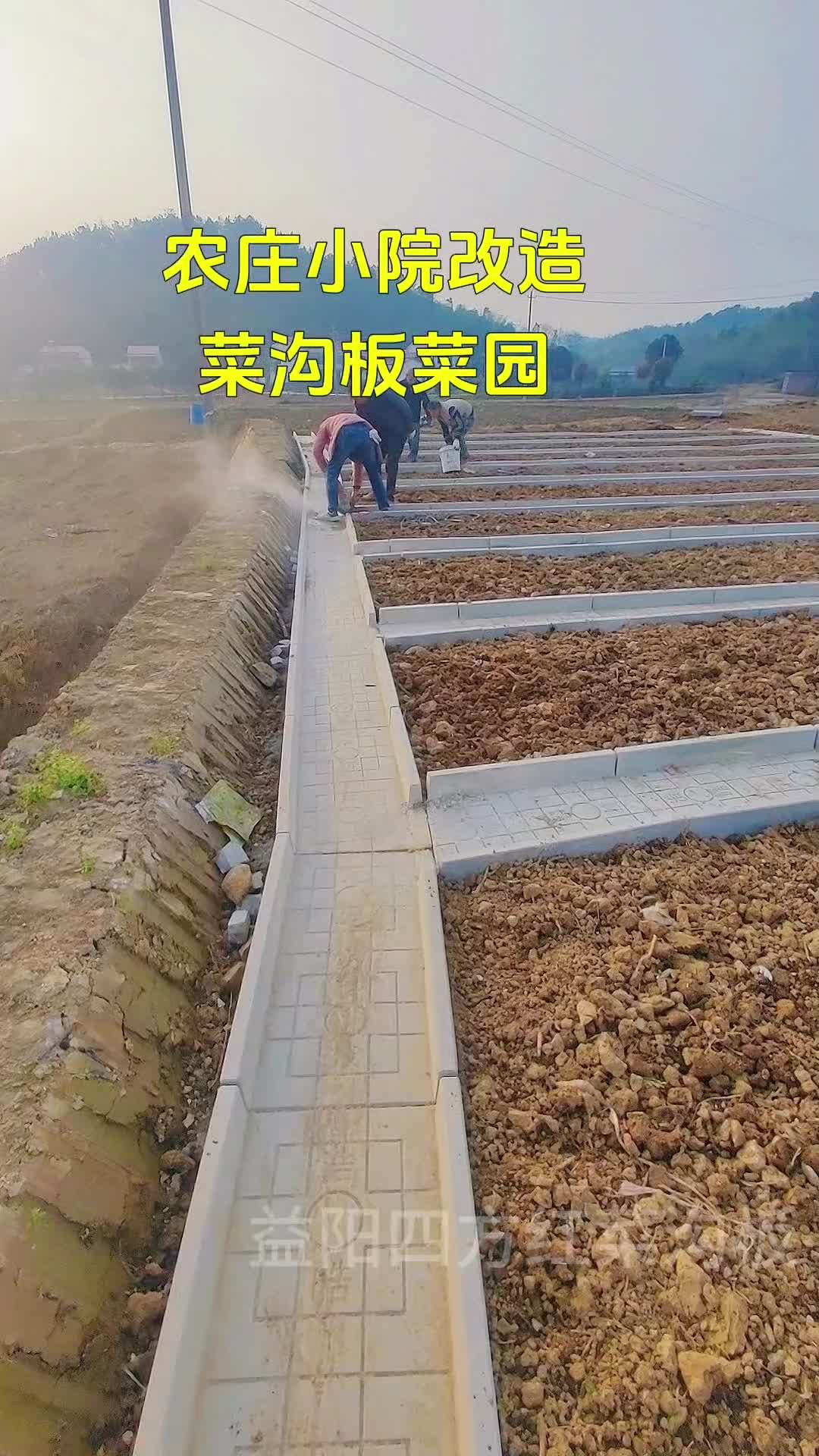 农村菜园设计 菜沟板 种菜 我的田园生活 农村菜园