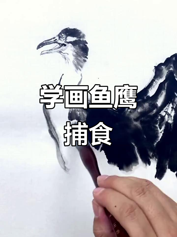 鱼鹰捕食的国画技巧,轻松学会
