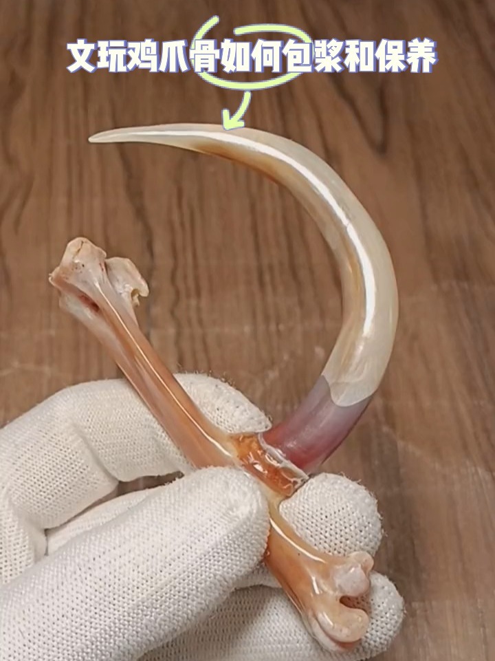 文玩鸡爪骨怎么保养?