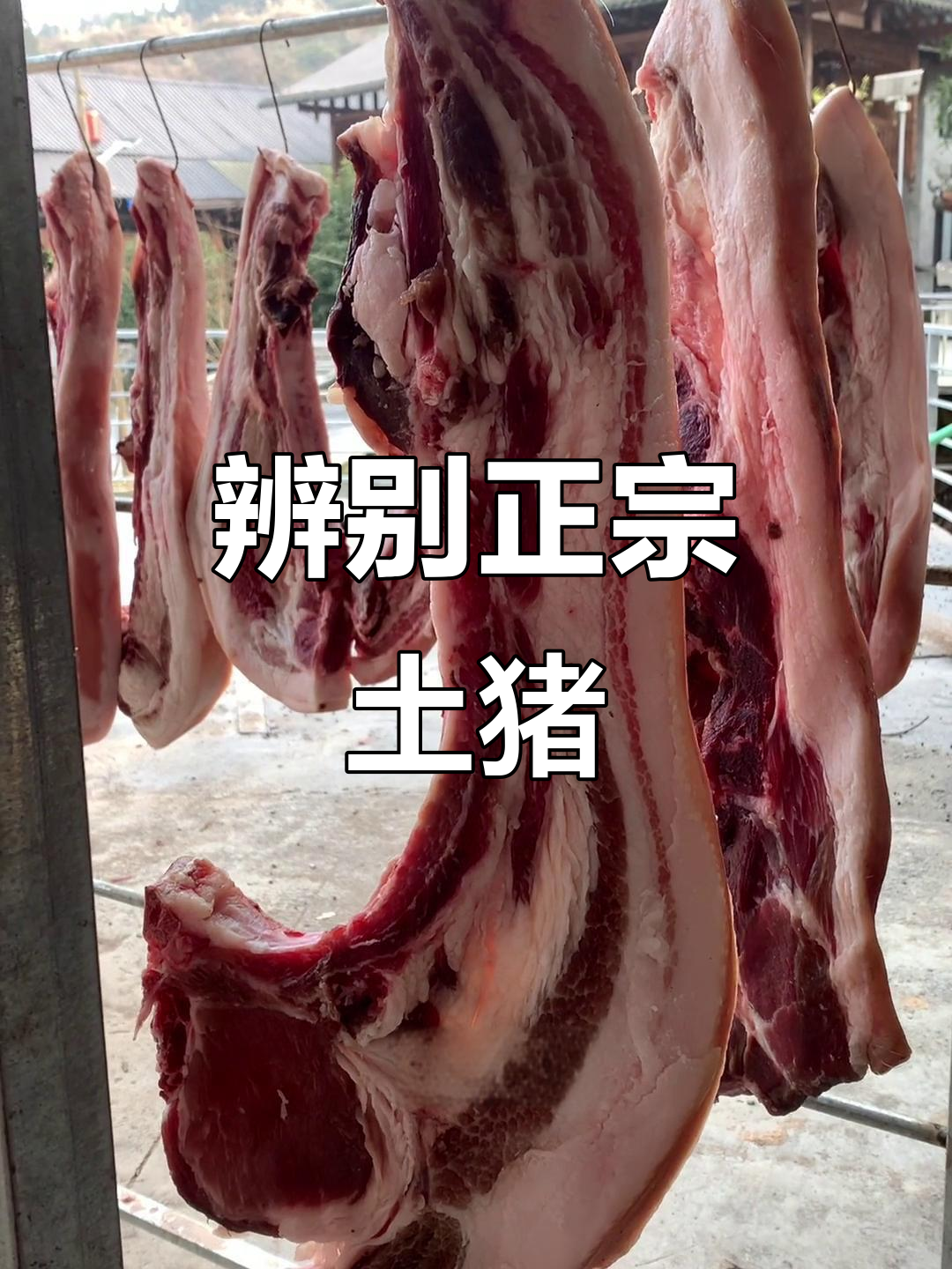 土猪肉肥瘦均匀,纹理清晰,口感鲜美