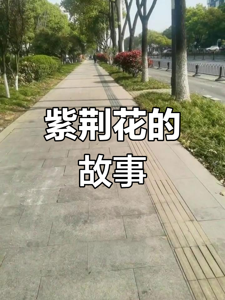 紫荆花的象征意义与故事