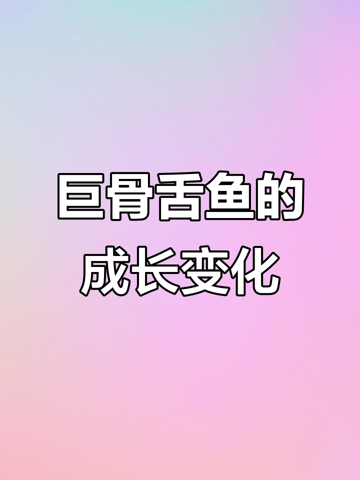巨骨舌鱼从小到大的成长历程,看看它如何蜕变