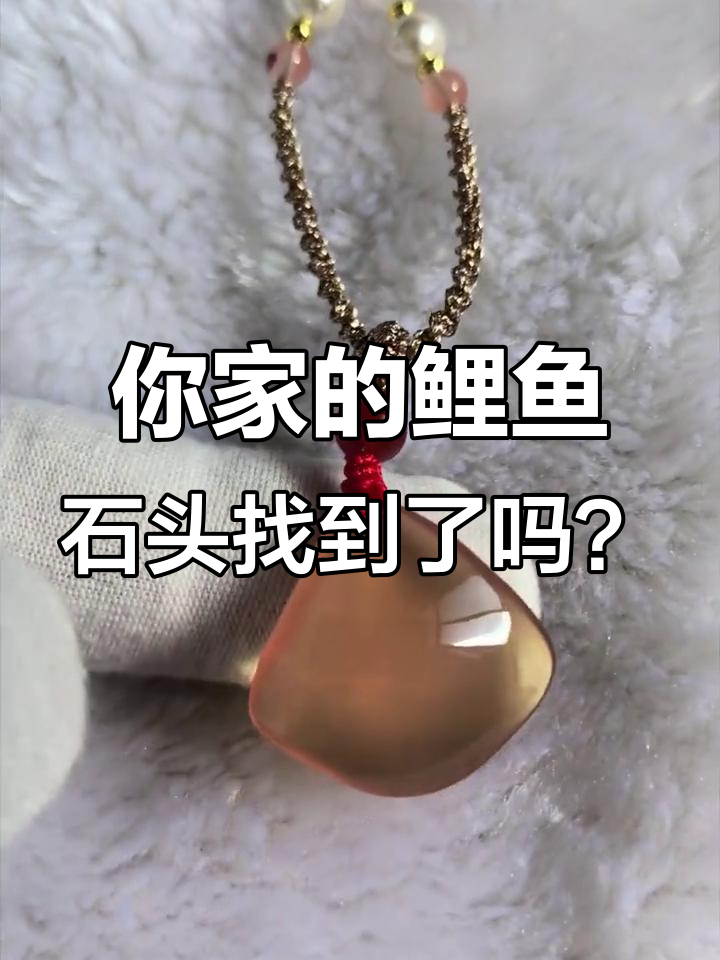 鲤鱼石揭秘：每家都有的宝贝，吃鲤鱼的注意了！