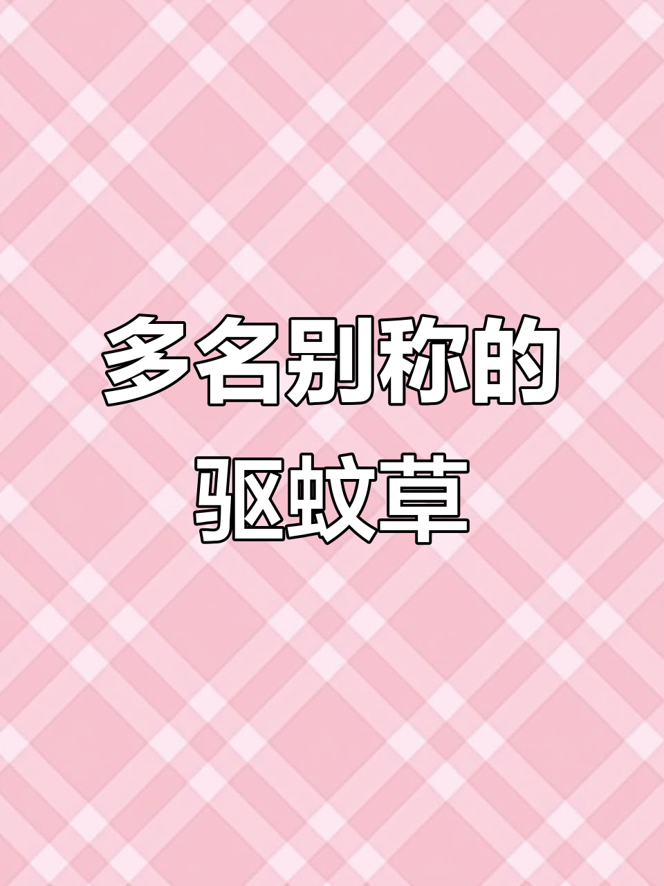 艾氏香茶菜,别名多样,驱蚊效果显著