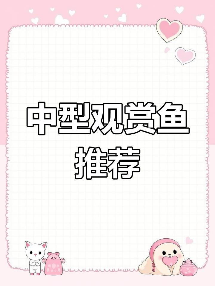 适合初学者的中大型观赏鱼,欢迎补充!