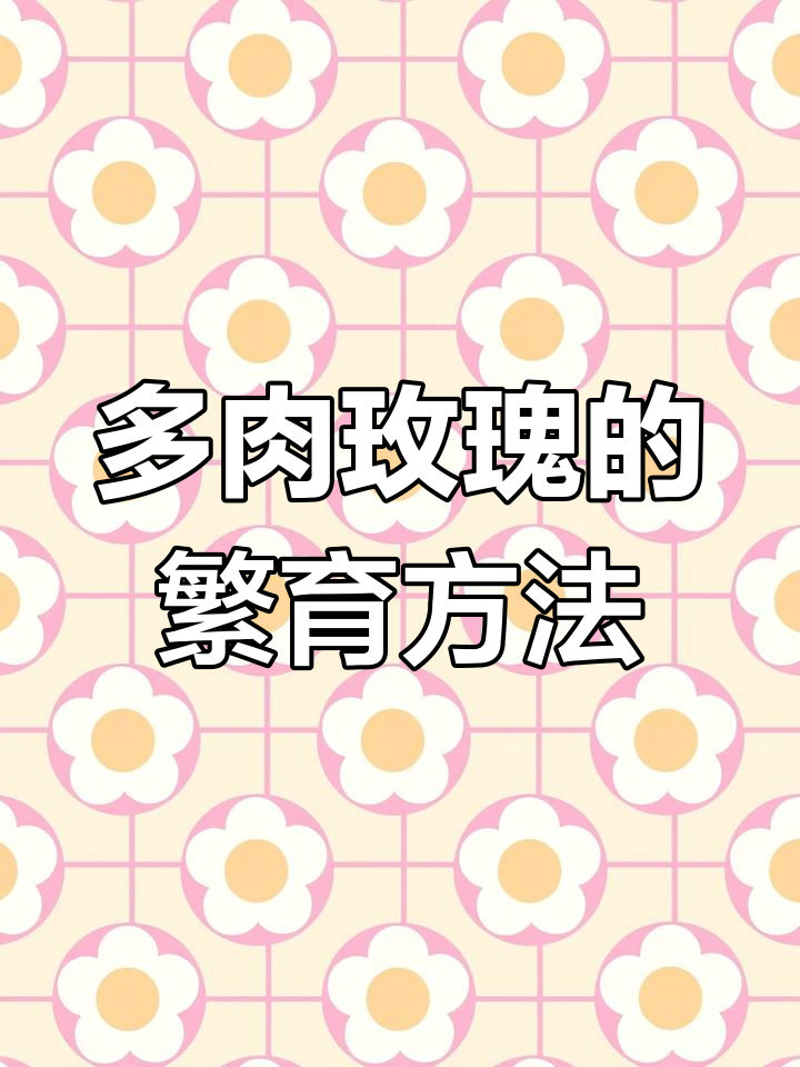 玫瑰多肉繁殖技巧,轻松砍头成新株