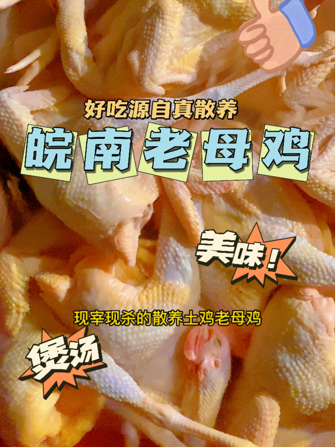 中国十大名鸡皖南土鸡