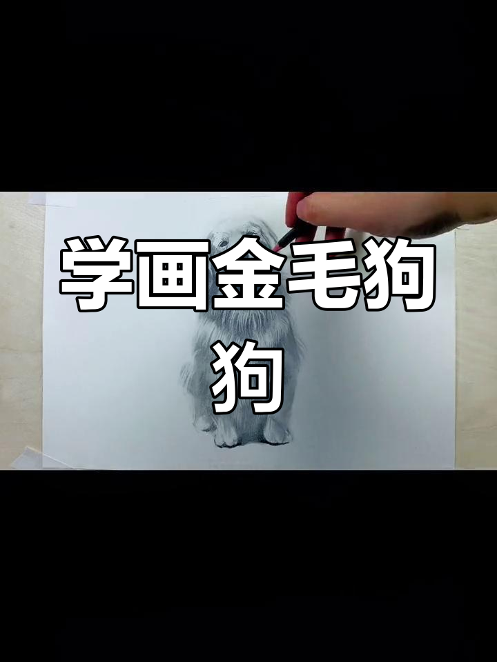 素描金毛狗狗,一步步教你画出可爱表情
