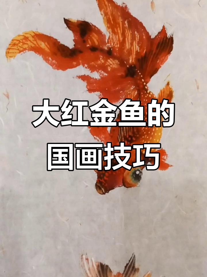 画一只大红金鱼,细节决定美丽