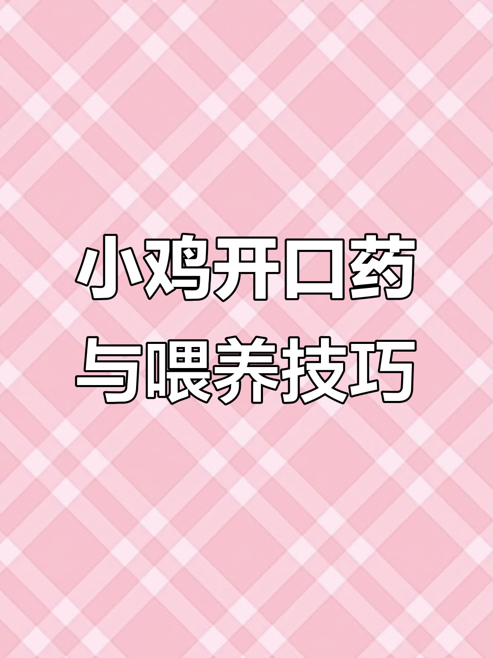 小鸡出生后如何照顾?24小时喂水吃药,健康成长全攻略