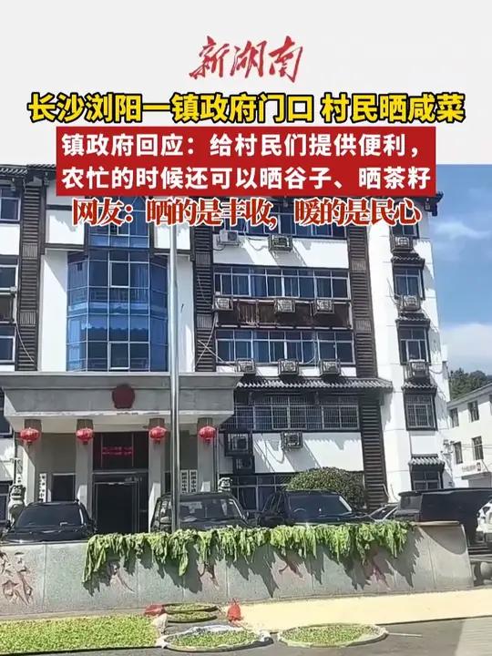 长沙浏阳一镇政府前坪晒满咸菜,镇政府回应:给村民们提供便利,农忙的时候晒谷子、晒茶籽 #便