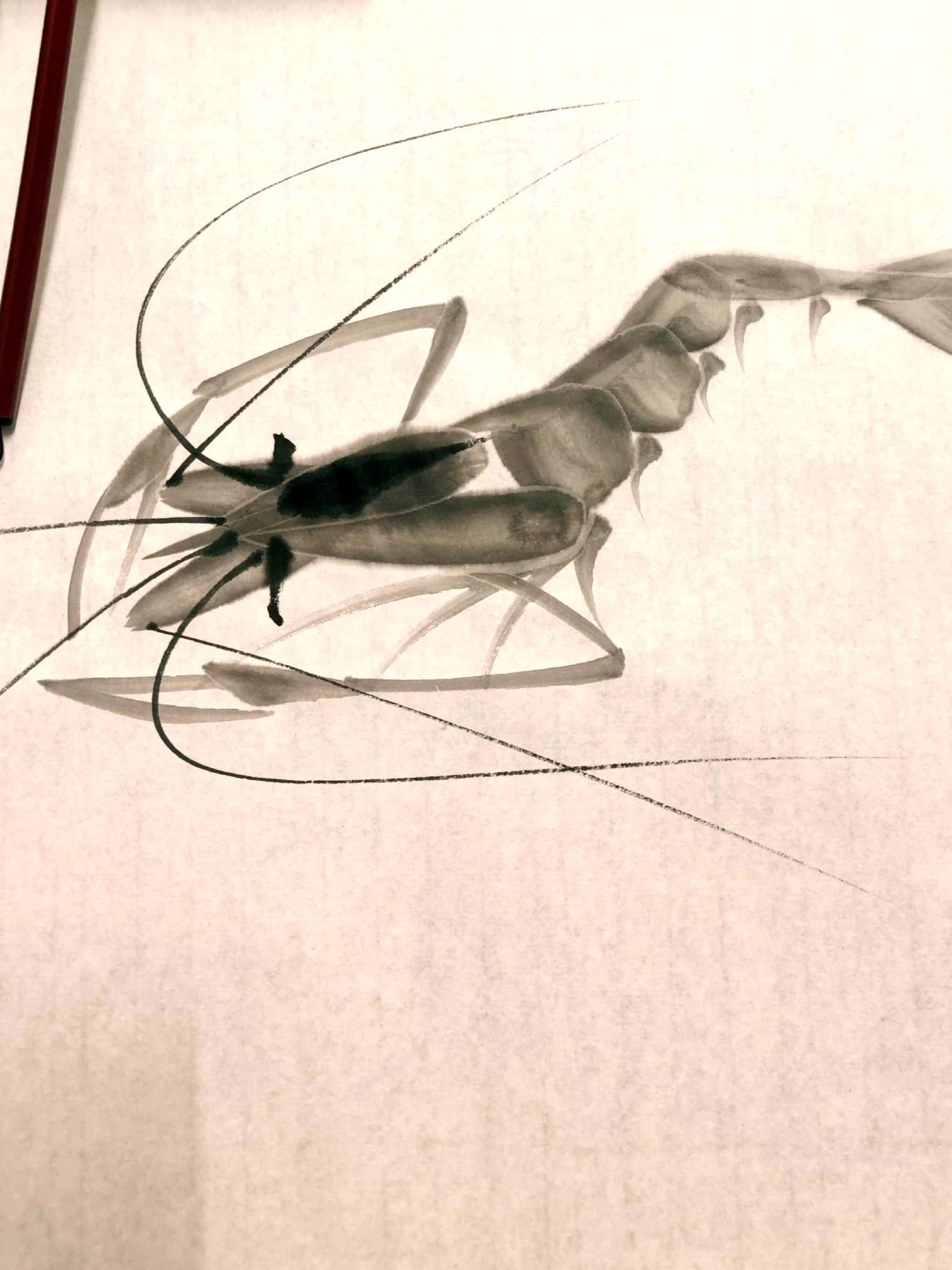 调色方法～水墨虾画法演示