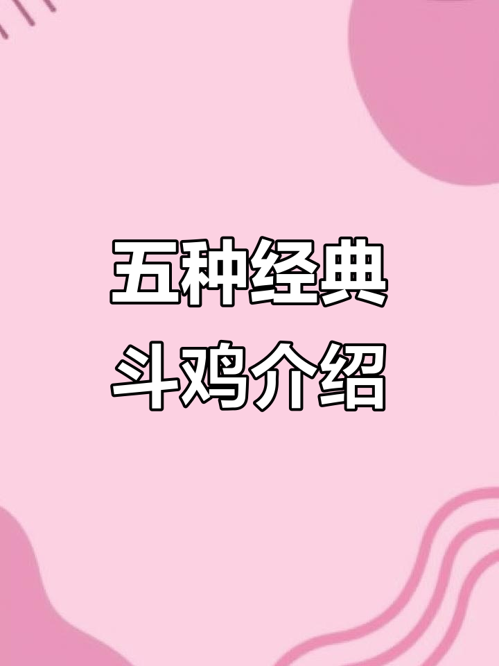 斗鸡五大品种揭秘:中原、郑州、亳州与英国斗鸡的独特魅力
