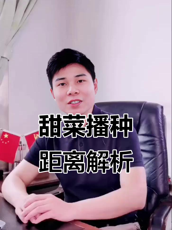 甜菜种植间距如何选择？七穴八穴哪种更合适