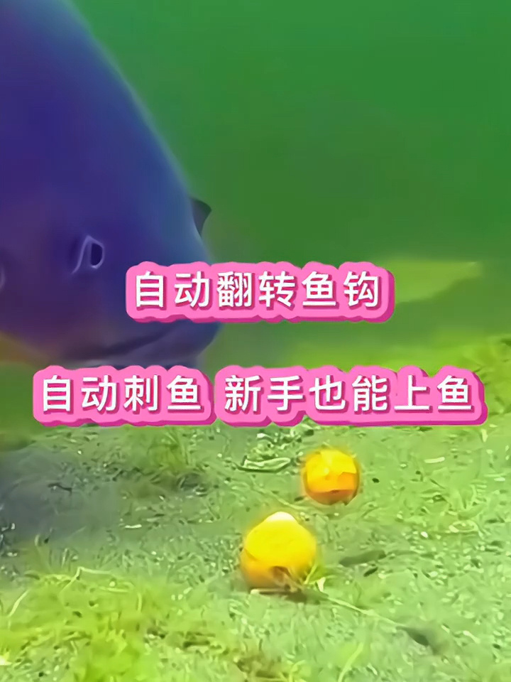 自动翻转鱼钩 自动刺鱼 新手也能轻松上鱼