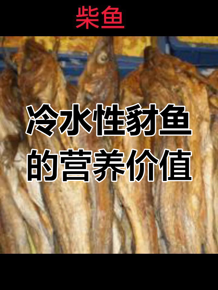 豺鱼:冷水性美味,广东人煲汤必备的柴鱼干