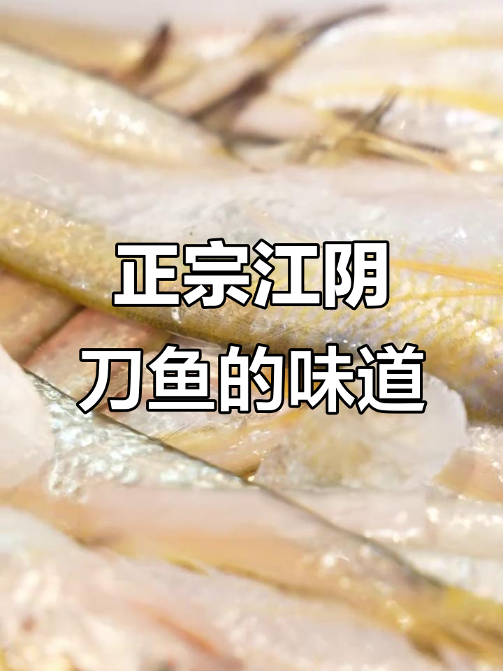 江阴刀鱼为何依旧让人痴迷?这味道,连长江都认可