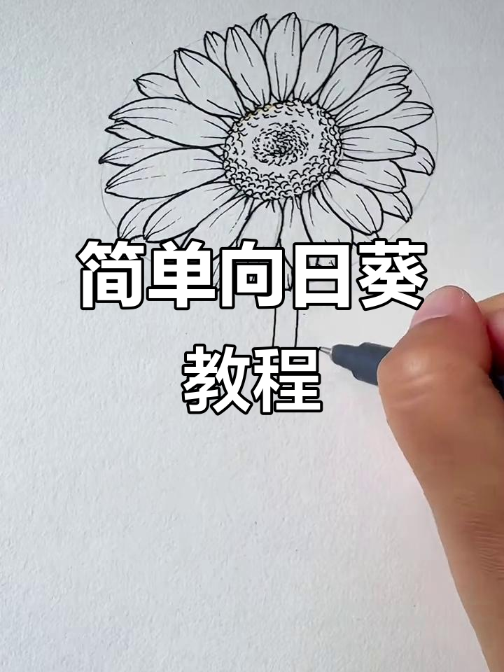 向日葵画法大揭秘，轻松画出节日祝福！