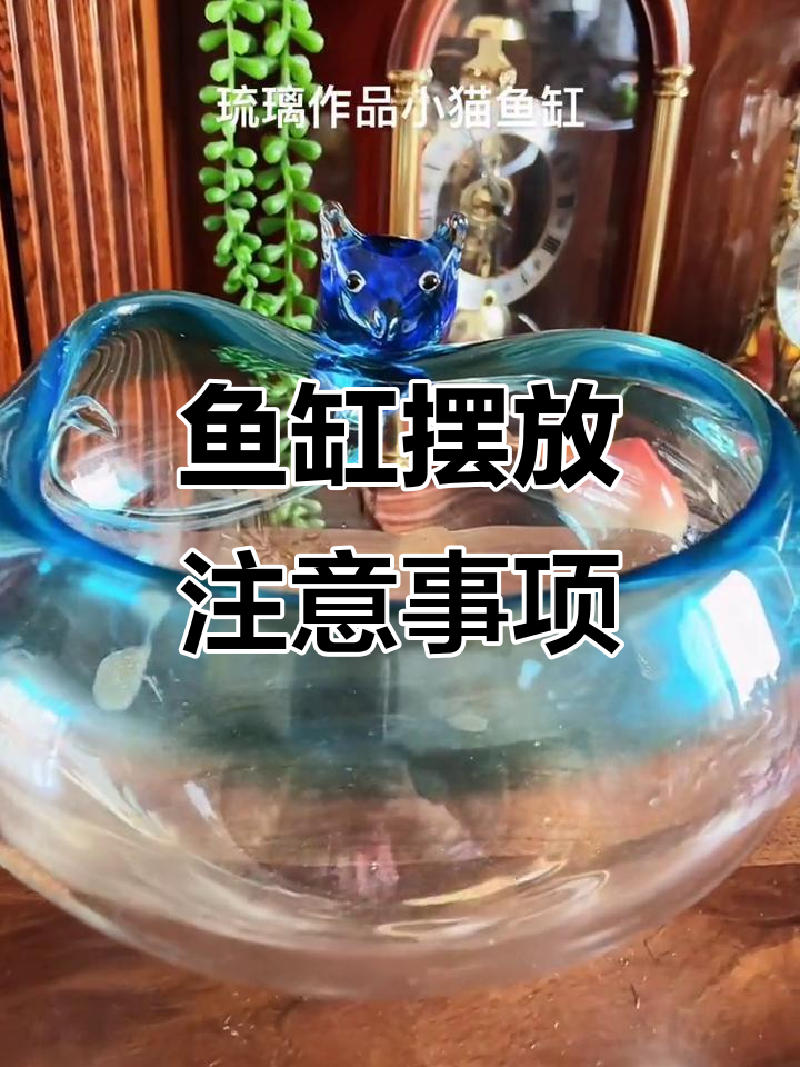 鱼缸摆放有讲究,避免这些误区让家居更和谐