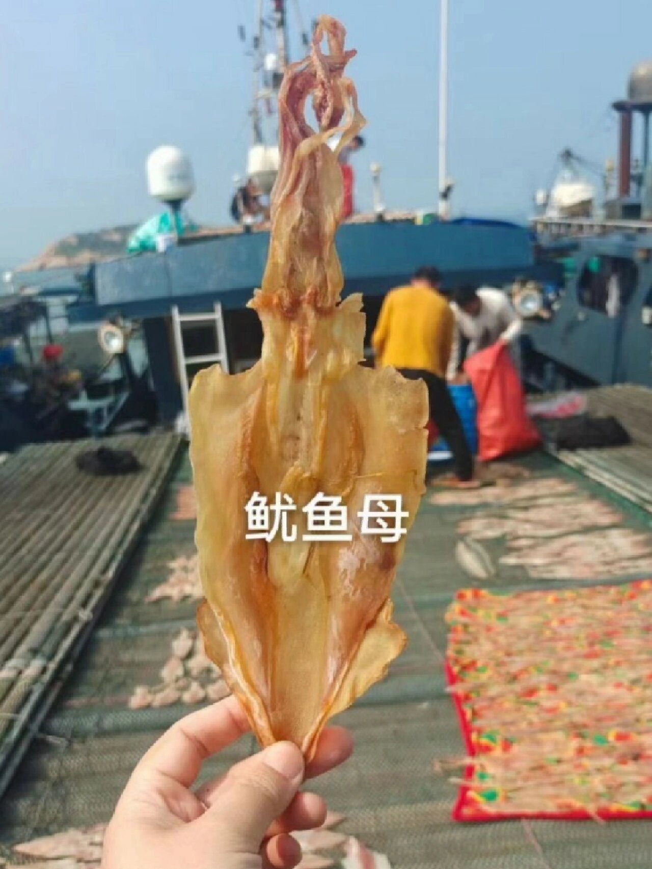 福建人炖汤都爱加鱿鱼母,滋补又鲜甜!