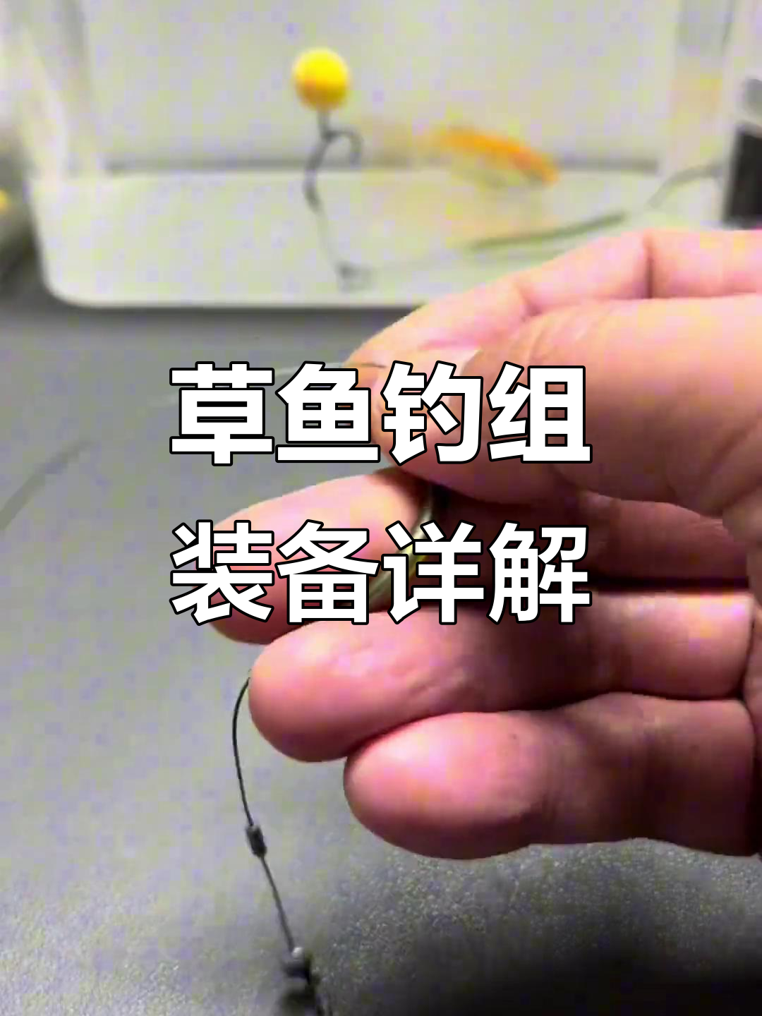 草鱼钓组全解析:从子线到浮球的完美搭配
