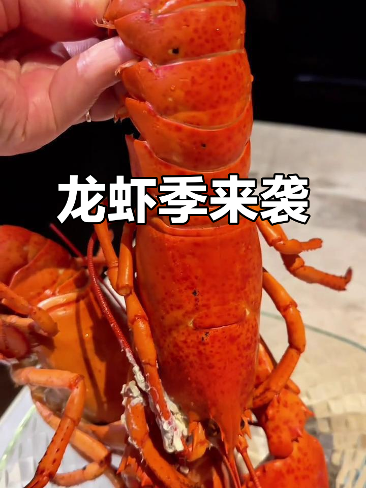 大龙虾季节，价格亲民肉质鲜美，赶紧享受！