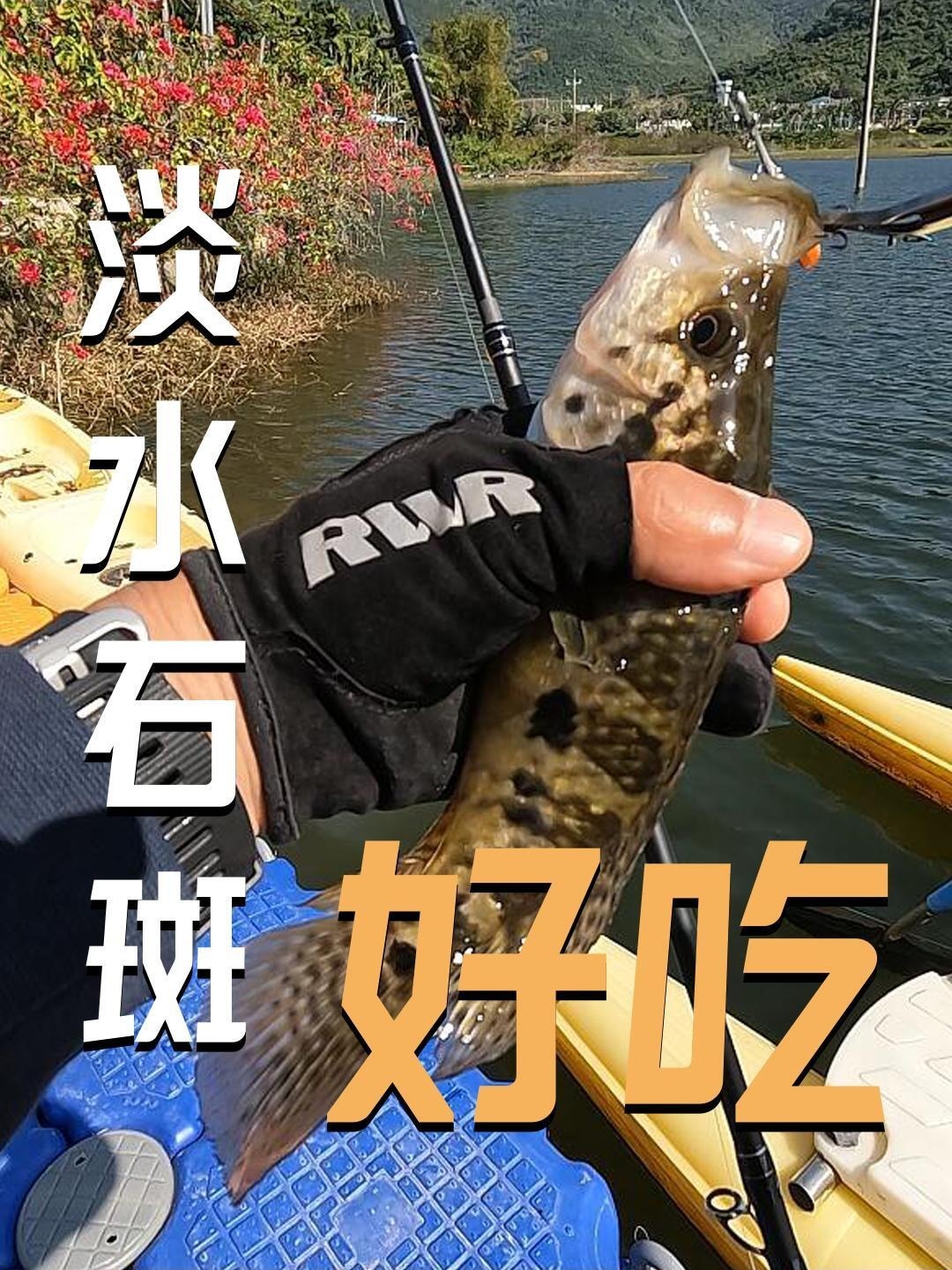 路亚大神集结令 I 户外野钓淡水石斑真好吃